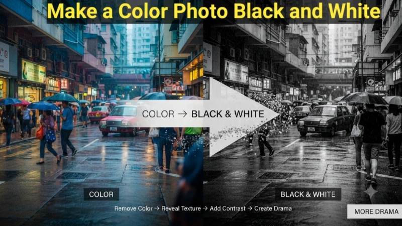 Make a Color Photo Black and White Image